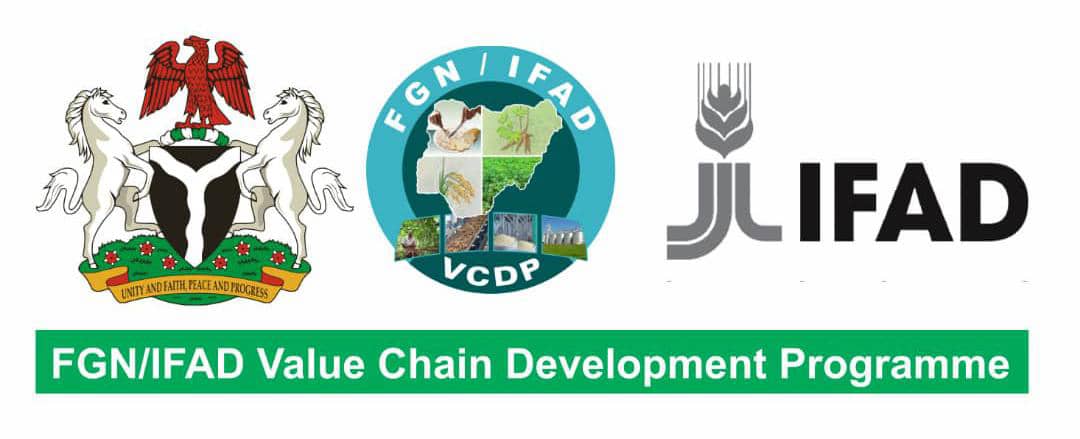 VCDP Nigeria